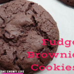 Chocolate Lover’s Fudge Brownie Cookies