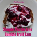 Summer Jumble Fruit Jam