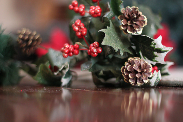 Brendan C captures this beautiful photo of holly and pinecones, great for decorating your christmas tree with!