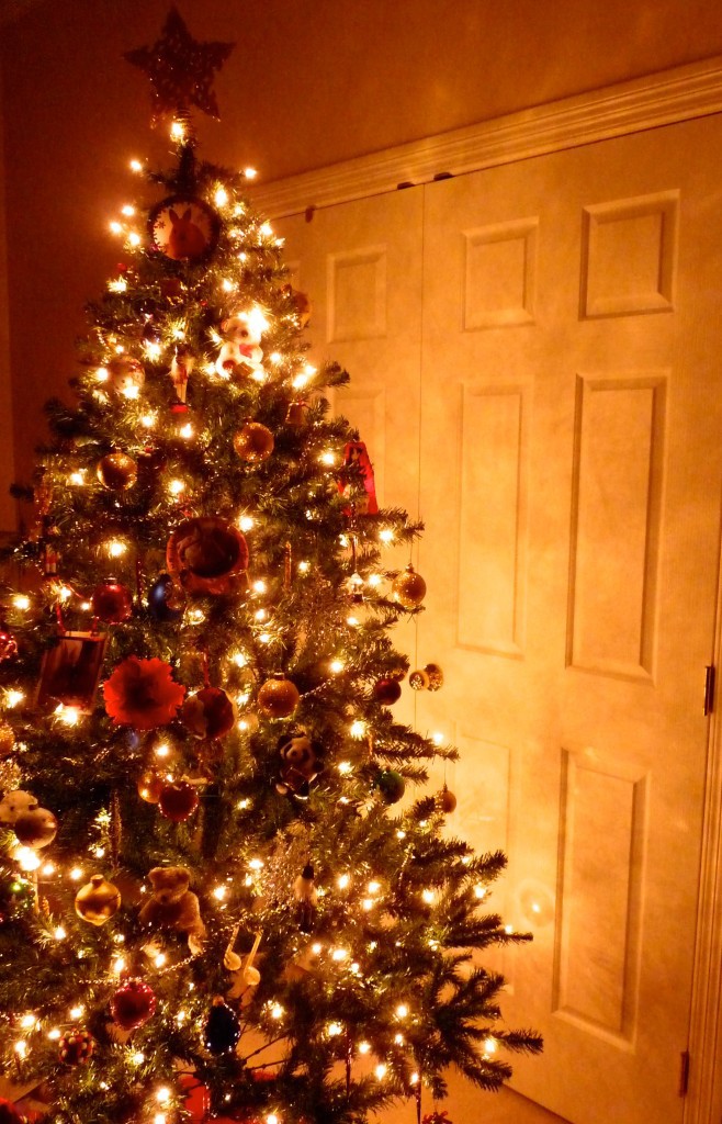 This is our Christmas tree, it looks pretty good if I do say so myself :)